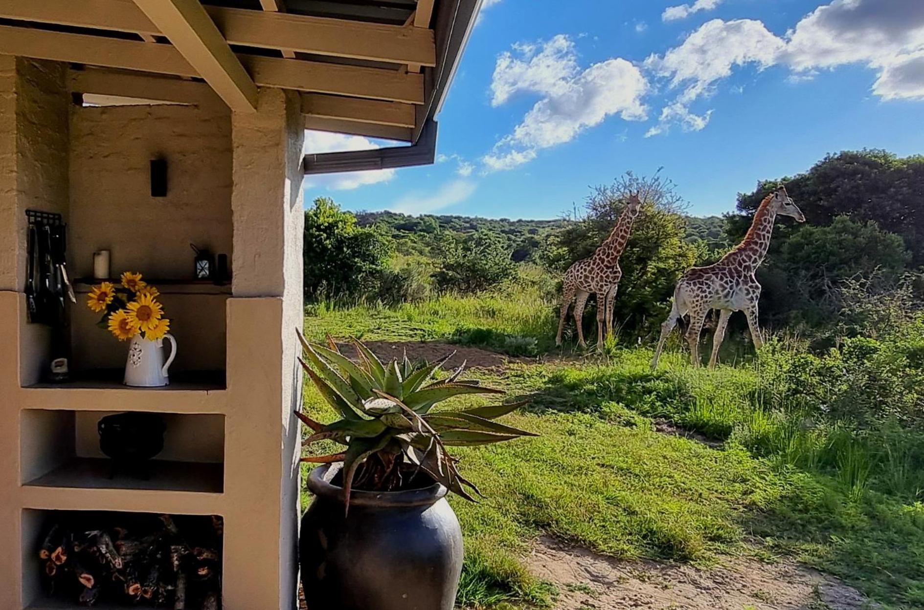 Graceland Eco Retreat Magoebaskloof Exterior foto