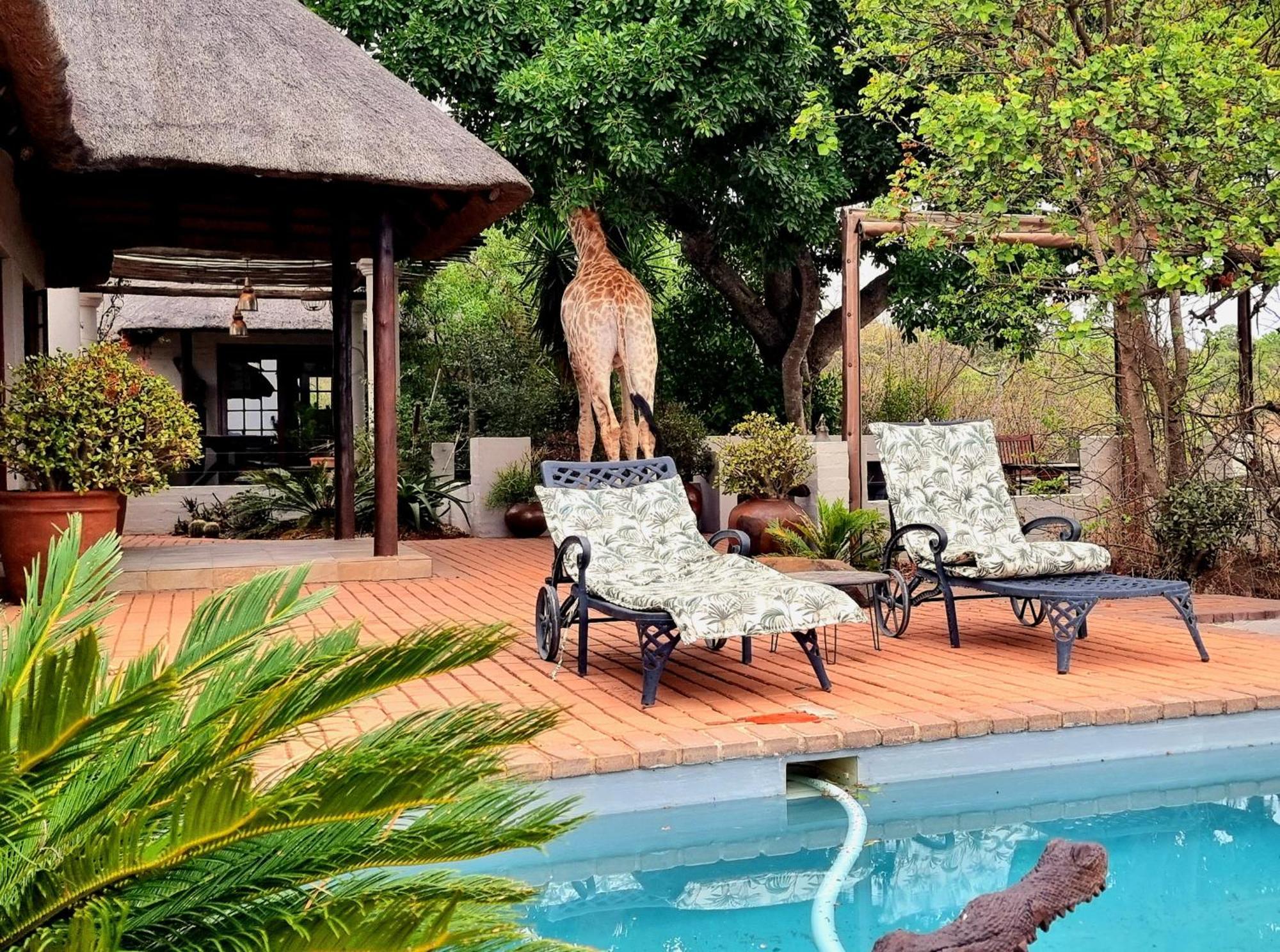 Graceland Eco Retreat Magoebaskloof Exterior foto